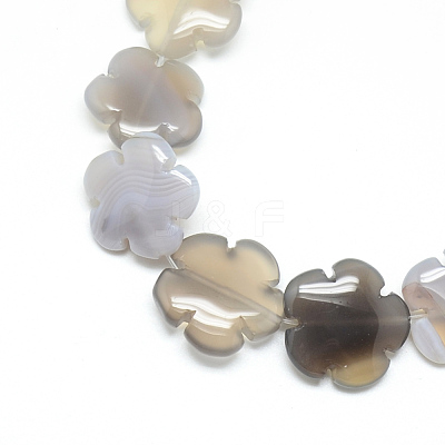 Natural Grey Agate Bead Strands G-T003-16mm-14-1