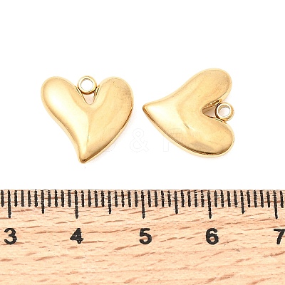 304 Stainless Steel Charms STAS-P441-02G-1