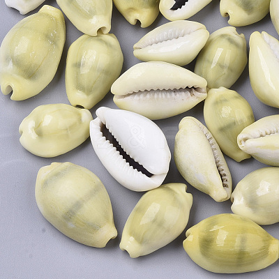 Natural Cowrie Shell Beads SSHEL-N034-B-26-1