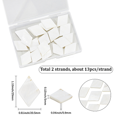 2 Strands Natural Freshwater Shell Beads Strands SHEL-SC0001-82-1
