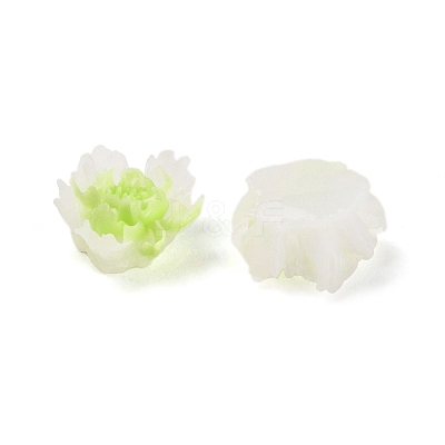 Luminous Resin Decoden Cabochons LS-RESI-K036-06F-02-1