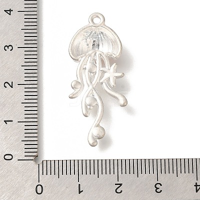 Alloy Pendants FIND-Z067-07S-02-1