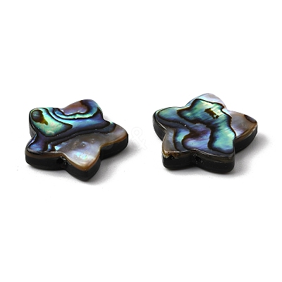 Natural Abalone Shell/Paua Shell Beads SHEL-B003-06-1
