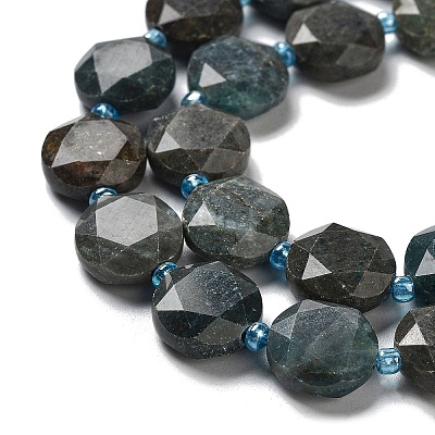Natural Chrysocolla Beads Strands G-NH0004-034-1
