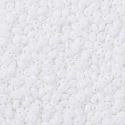 Opaque Luster Czech Glass Seed Beads SEED-N004-005-D02-1