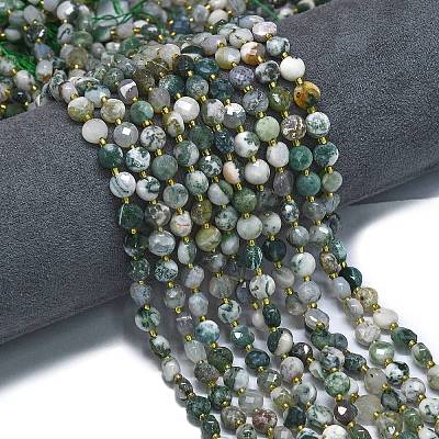 Natural Tree Agate Beads Strands G-K389-B07-01-1