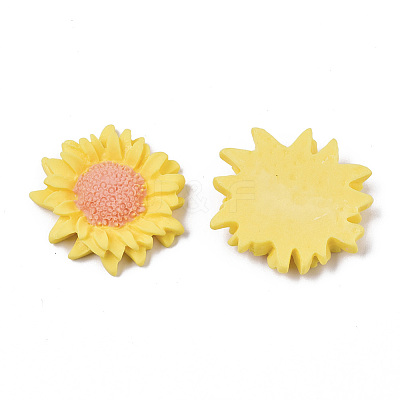 Opaque Resin Cabochons LS-CRES-T022-17F-1