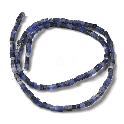 Natural Sodalite Beads Strands G-B064-A27-1