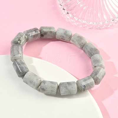 Column Natural Labradorite Beads Stretch Bracelets for Women Men BJEW-A148-01A-24-1