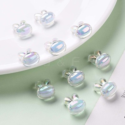 Transparent Acrylic Beads TACR-S152-05B-SS2113-1