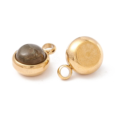 Natural Labradorite Charms G-K325-01G-04-1