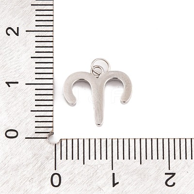 316 Stainless Steel Micro Pave Cubic Zirconia Pendants STAS-K284-01A-P-1