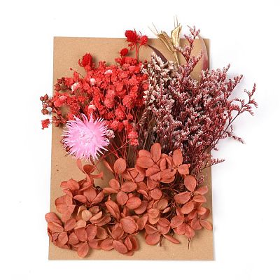 Dried Flower DIY-B018-01-1