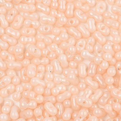 Baking Paint Glass Seed Beads SEED-L011-09A-11-1