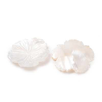 Natural White Shell Carved Cabochons SHEL-G024-05-1