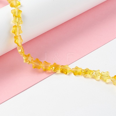 Transparent Glass Beads GLAA-F112-04C-1