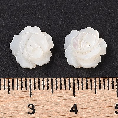 Natural White Shell Beads SSHEL-C012-06-1