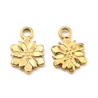 304 Stainless Steel Charm STAS-R124-03G-1