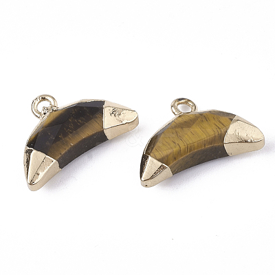 Electroplate Natural Tiger Eye Charms G-S344-48D-1
