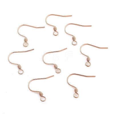 304 Stainless Steel Earring Hooks STAS-E484-55RG-1