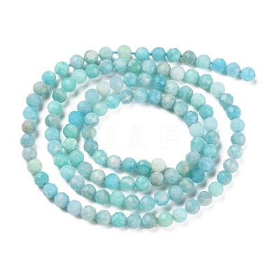 Natural Amazonite Beads Strands X-G-P500-01B-01-1