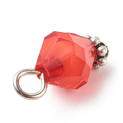 Transparent Acrylic Charms PALLOY-JF01744-1