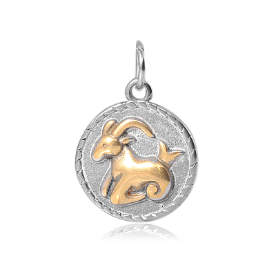 316 Stainless Steel Pendants STAS-S045-40J-1