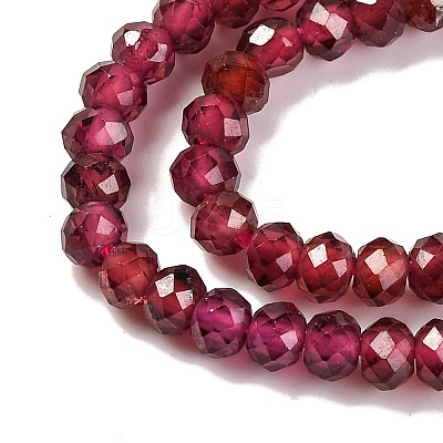 Natural Garnet Beads Strands X-G-F770-D02-02-1