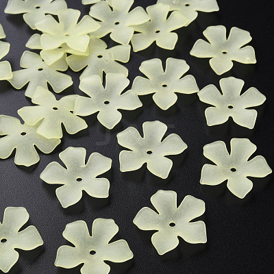 Transparent Acrylic Beads MACR-S373-119-D03-1