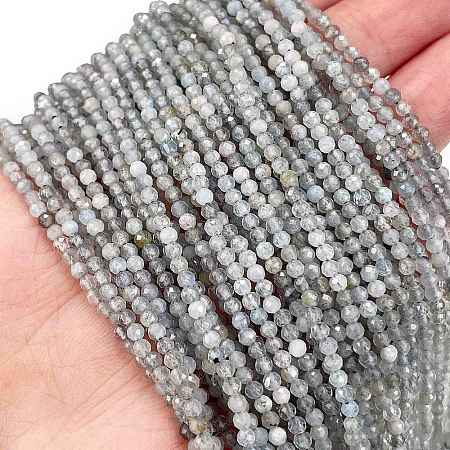 Natural Labradorite Beads Strands G-I341-11B-1