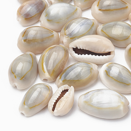 Cowrie Shell Beads X-SSHEL-T004-05-1
