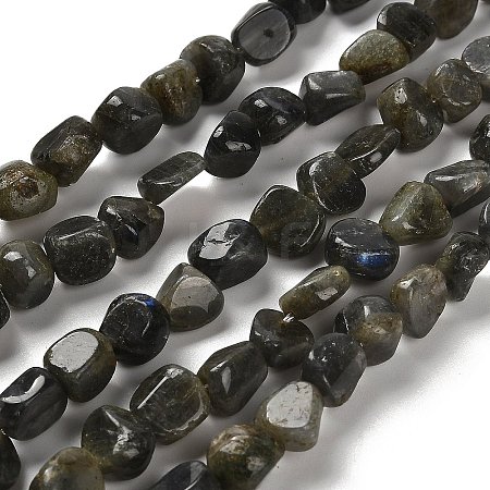 Natural Larvikite Beads Strands G-P497-01E-85-1