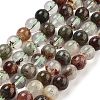 Natural Four Seasons Lodolite Quartz Beads Strands G-Z063-A02-03-1