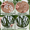 Leaf Shape Acrylic Plant Growth Fixator DIY-WH0430-933B-4