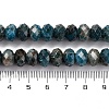 Natural Apatite Beads Strands G-K380-A51-02-5