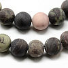 Natural Ocean Jasper Bead Strands G-Q462-71-10mm-2