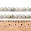 Natural Myanmar Jade/Burmese Jade Beads Strands G-D0001-08-6mm-01-4