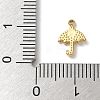 304 Stainless Steel Charms X-STAS-G352-08G-3