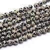 Natural Dalmatian Jasper Round Bead Strands G-J303-19-8mm-1