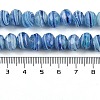 Handmade Lampwork Beads Strands LAMP-T007-13P-4