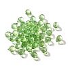 Transparent Glass Charms GLAA-P070-A06-2