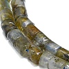 Natural Labradorite Beads Strands G-K245-C01-01-3