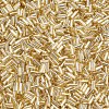 Plated Glass Bugle Beads SEED-S046-01A-22-2