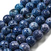 Faceted Natural Fire Crackle Agate Beads Strands G-F447-12mm-J07-1
