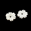 Natural Trochus Shell Flower Charms SHEL-K006-46B-2