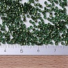 MIYUKI Delica Beads Small SEED-X0054-DBS0182-4