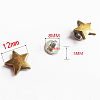 Alloy Rivets Set PURS-PW0001-531AB-11-1