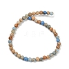Dyed Natural Regalite/Imperial Jasper/Sea Sediment Jasper Beads Strands G-B124-C04-13-3
