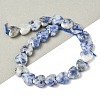 Natural Blue Spot Jasper Beads Strands G-D316-B10-1