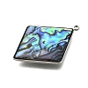304 Stainless Steel Pave Natural Paua Shell Pendants X-STAS-Z125-01D-P-2